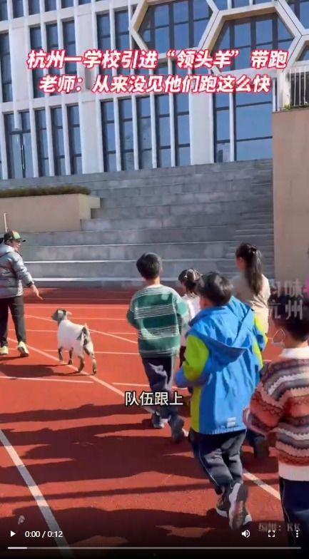 塔沟武校爆料案件最新,揭开校园暴力背后的真相  第2张